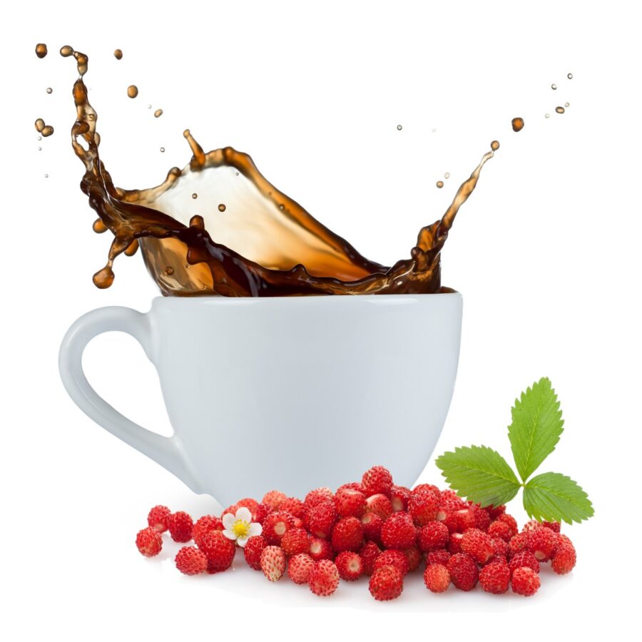 wilde-erdbeere-roestkaffee-139DCHkKk